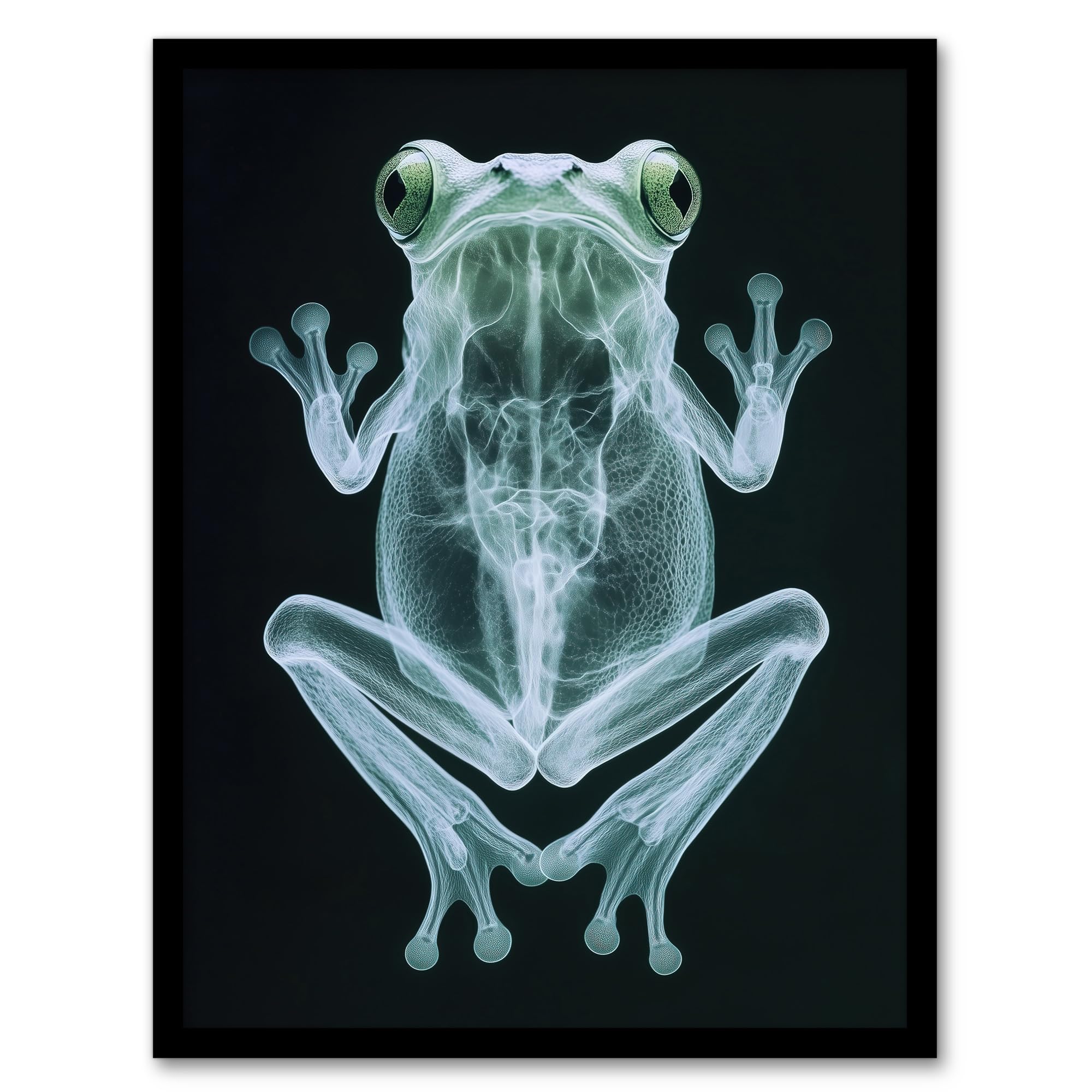 Artery8 Frog Teal Green Dark Luminescent Xray Effect Bathroom Toilet Artwork Framed Wall Art Print A4