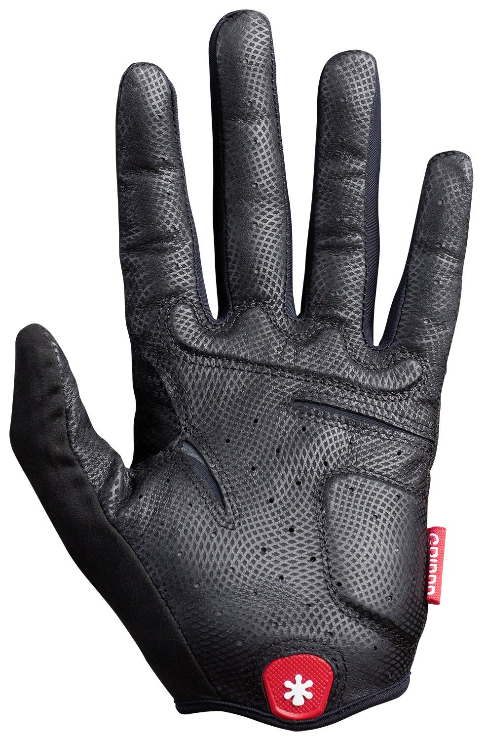 Amazon.com : HIRZL GRIPPP Tour Cycling Gloves, Black, X-Small/6