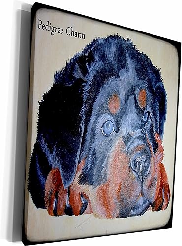 3dRose Pedigree Charm- humor, dog, dogs, rottweiler, rottie,... - Museum Grade Canvas Wrap (cw_78690)