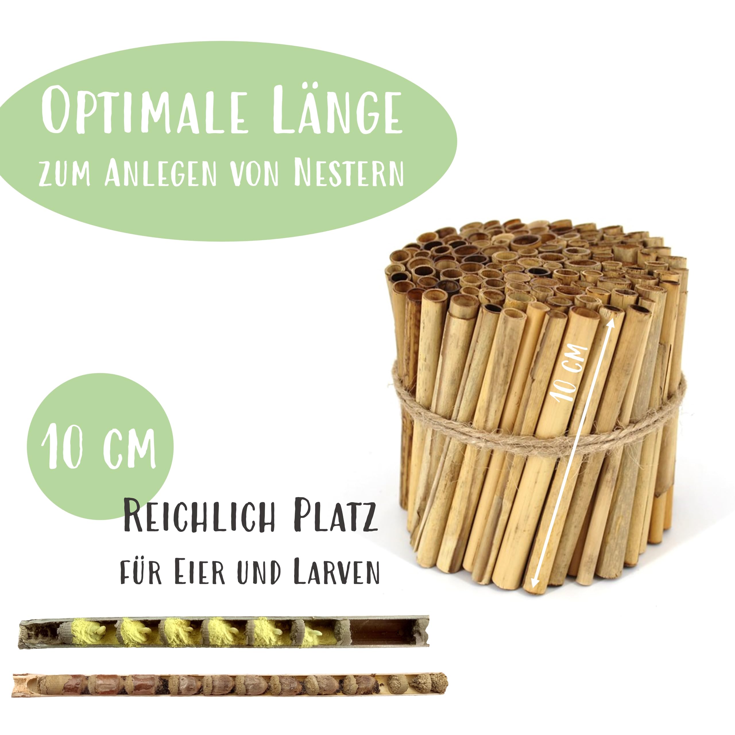 Schilfröhrchen für Insektenhotels, Länge 10 cm, Durchmesser 3-10 mm, ca. 100 oder 400 Stück, Röhrchen aus der EU!