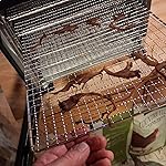 Review Image by Cathie Cathie