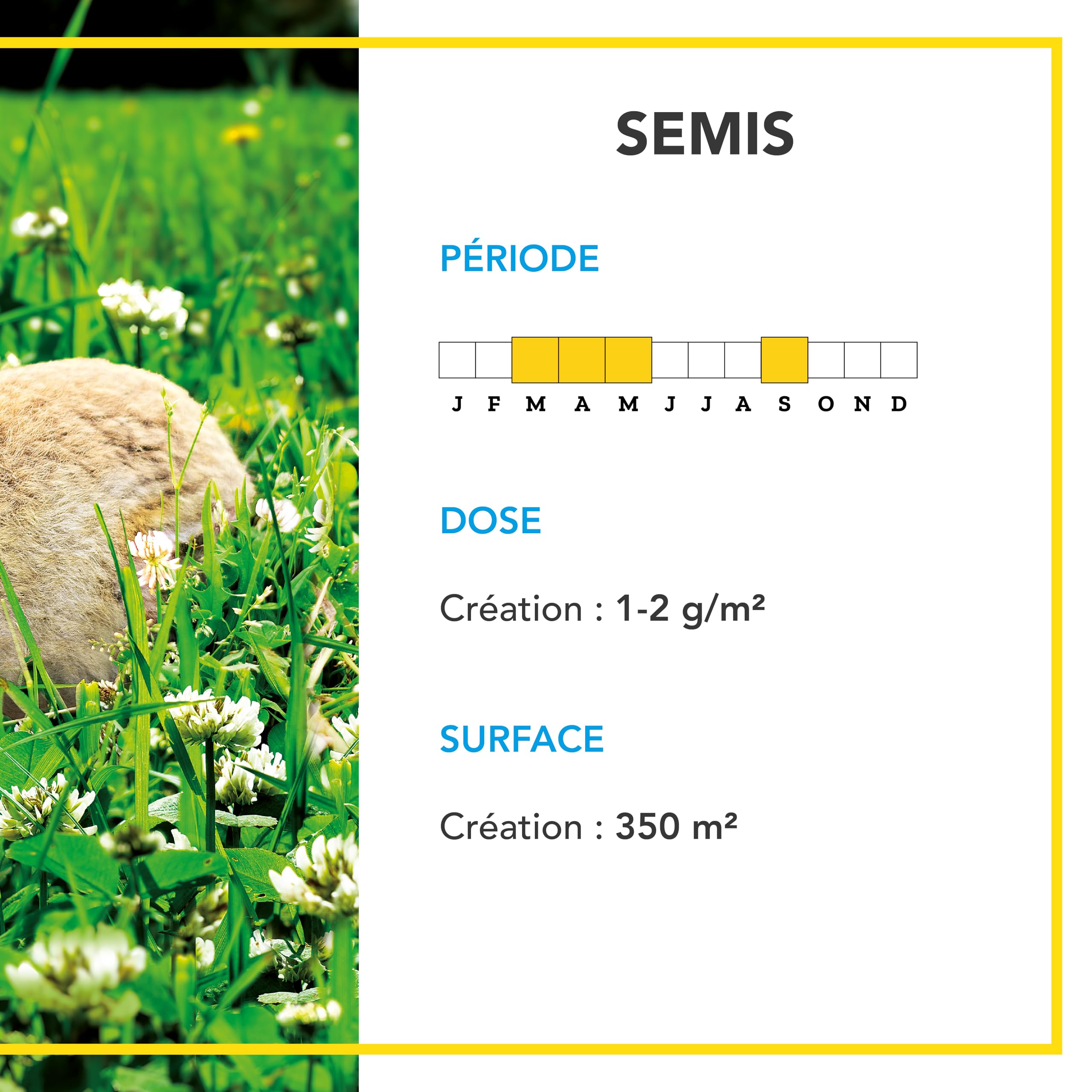 BARENBRUG - Trèfle blanc BIO - Enrichit Naturellement Sol - 500G | Limite les Mauvaises Herbes - Résiste à la Sécheresse - Enrichit le Sol - Fabriqué en France