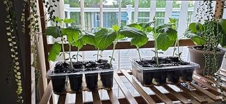 Review Image by JM JM