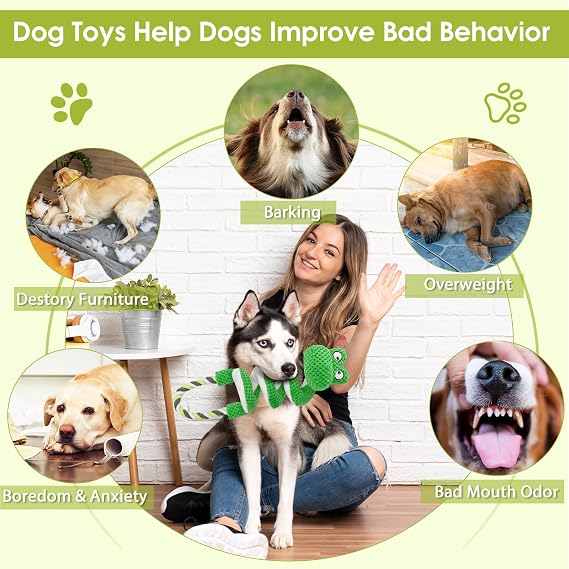 Duty Dog Rope Toys with Crinkle Paper & Squeaker - Interactive Tug of War Pull Toy for Puppy Boredom, Teeth Cleaning -Tough Chew Toys for Small, Medium, and Large Breeds