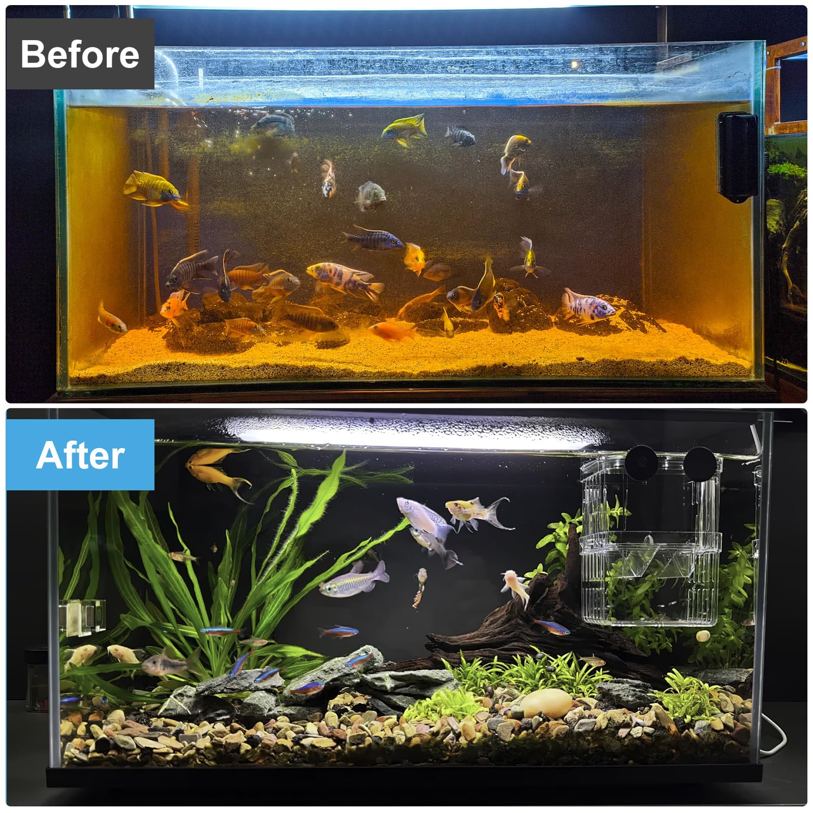 2 M Spugna filtrante per Acquario Tampone Filtro Spugna Tamponi Filtranti per Acquario Addensata Schiuma Filtrante Filtro Spugna Schiuma Acquario Filtro Spugna