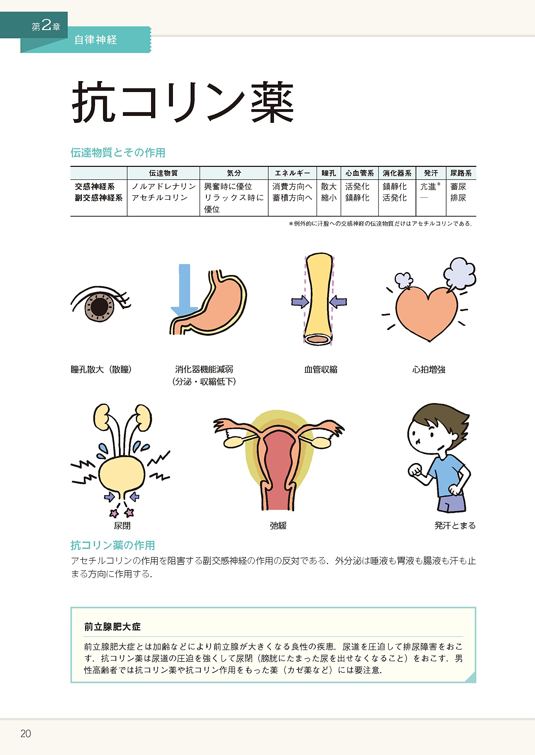 イラストでまなぶ薬理学 第3版 田中 越郎 本 通販 Amazon