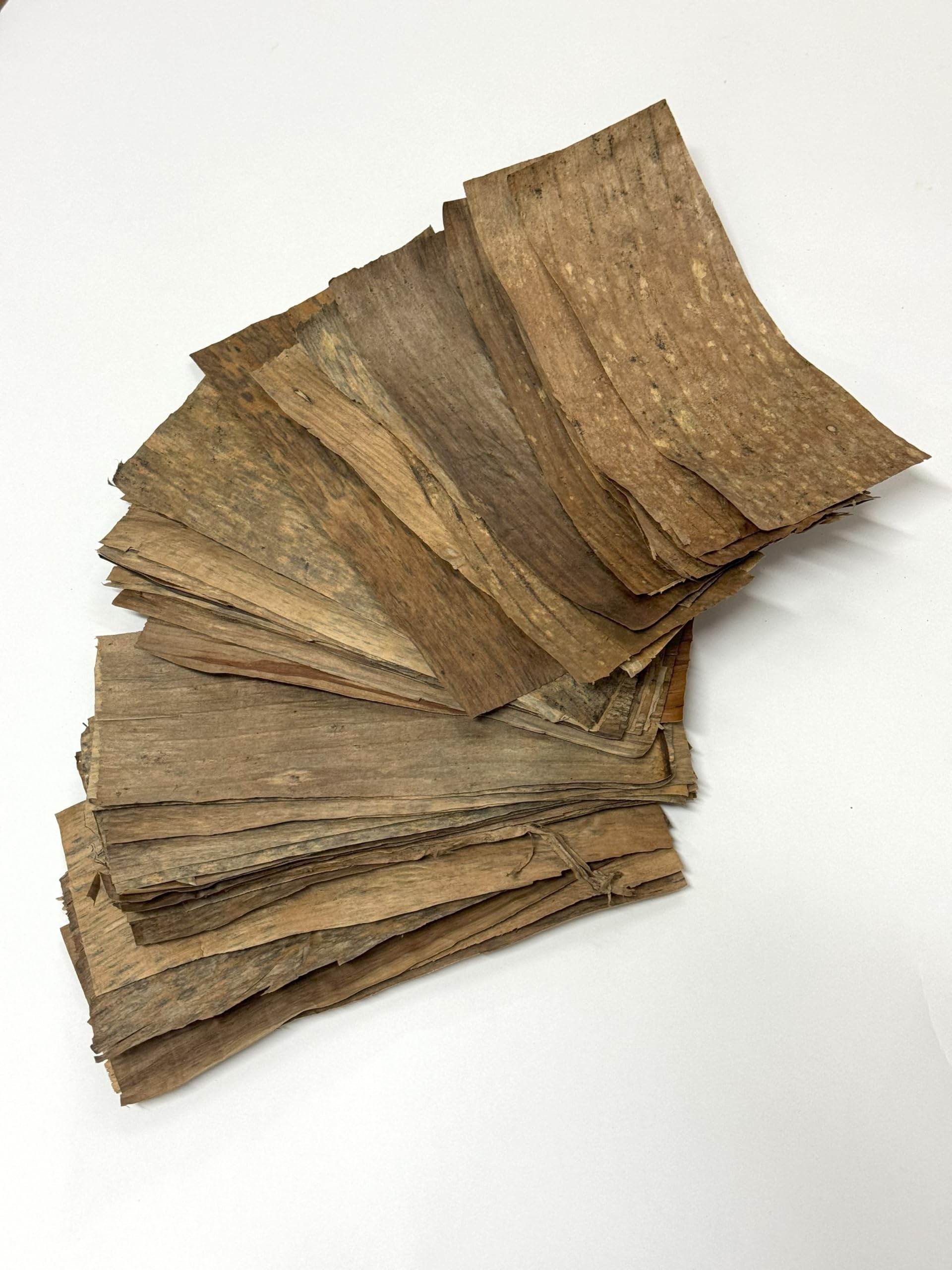 Banana Leaves Dried Decoration