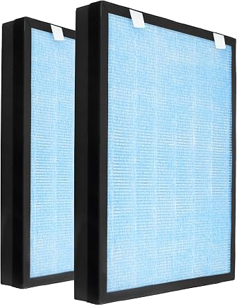 ATXKXE HSP002 Filter for Hathaspace HSP002 Replacement Filter, 2 Pack