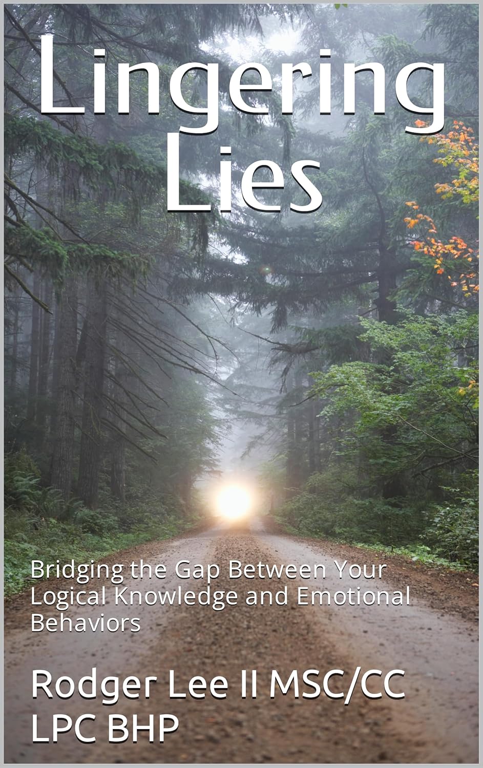 Lingering Lies: Bridging the Gap Between Your Logical Knowledge and Emotional Behaviors      Kindle Edition