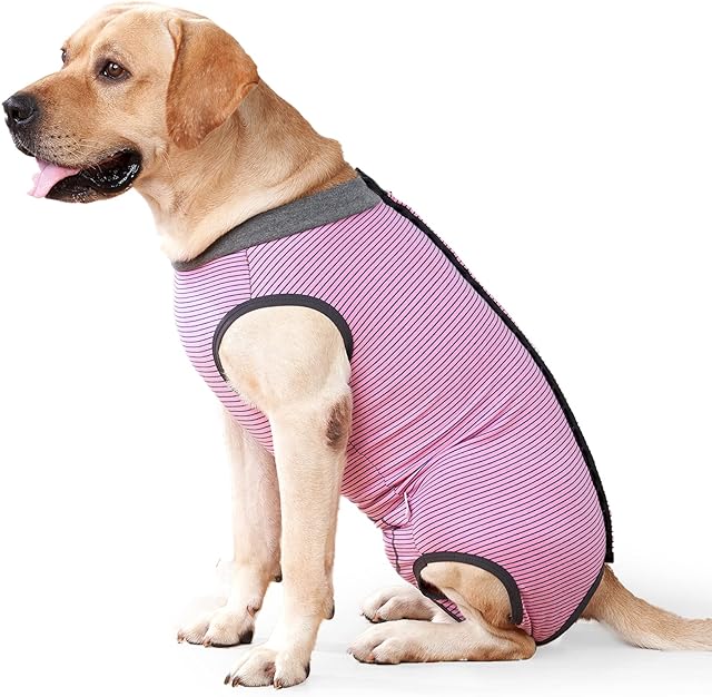HEYWEAN Dog Recovery Suit Spay Suit for Female Dog Bodysuit After Surgery Dog Onesie for Surgery Male Dog Surgical Vest Substitute Recovery Collars