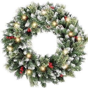 National Tree Company 24 in Pre-Lit Crestwood Spruce Artificial Christmas Wreath, Christmas Decoration with Glitter, Pinecones, Red Berries, 50 Warm White LED Lights, 160 Tips, Timer, Green
