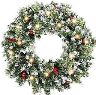HipTree 24 Inch Lighted Christmas Wreaths for Front Door with Lights
