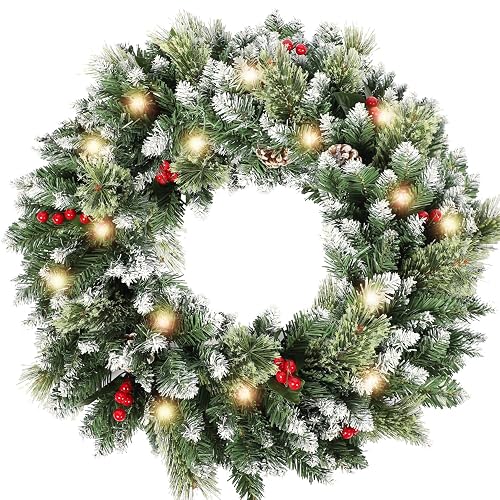 HipTree 24 Inch Christmas Wreaths for Front Door with Lights,Lighted