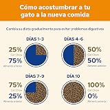 Ver la foto 2
