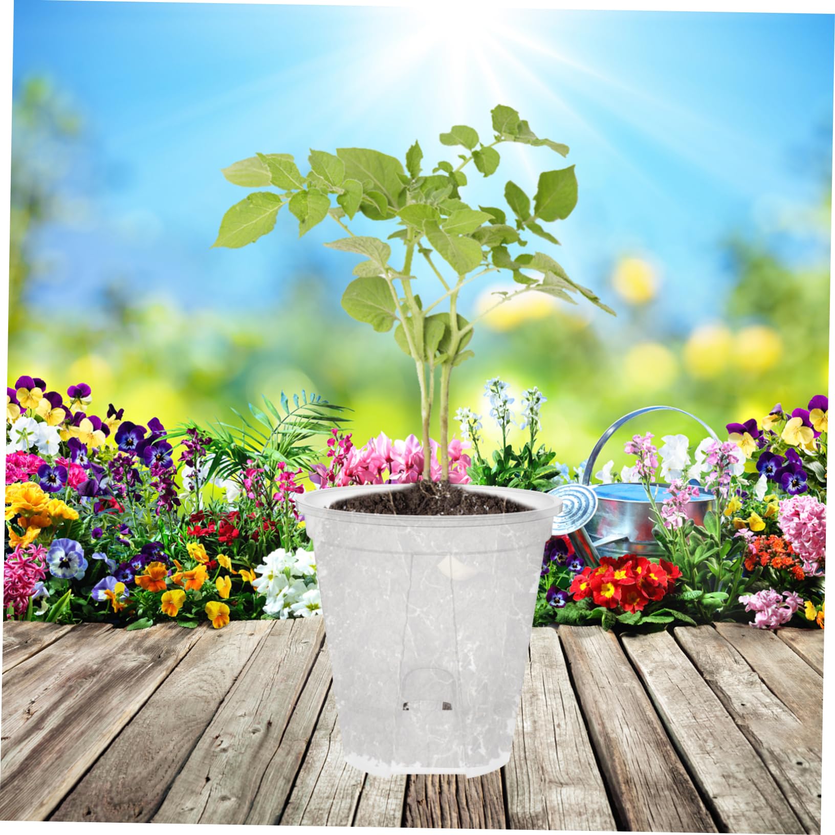 Happyyami 6pièces Pots De Fleurs Plastique Transparent avec Drainage Autonome pour Plantes Intérieur Pots Respirants Idéaux pour Orchidees Et Fleurs Design Léger Et Pratique