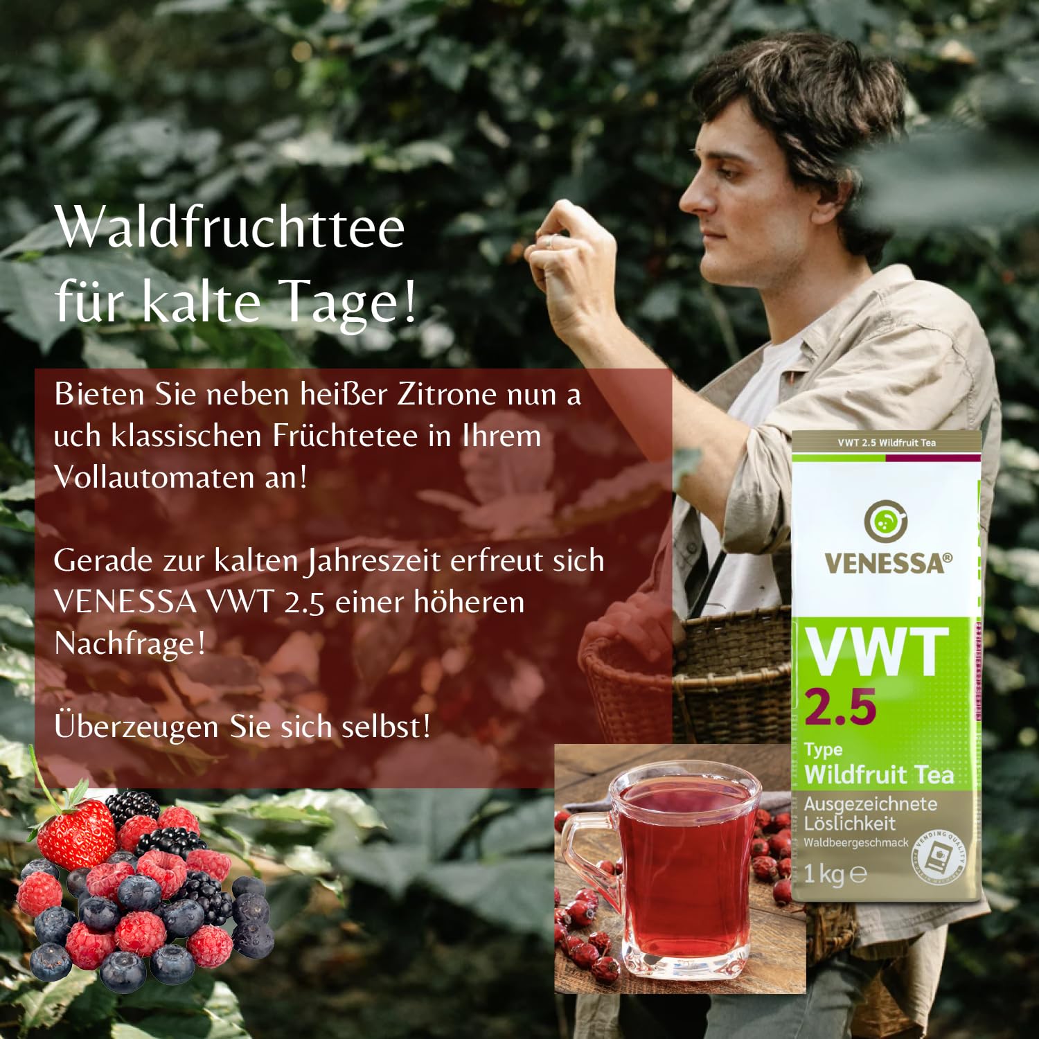 VENESSA VWT 2,5 napój herbaciany z dzikich owoców, 20 x 1 kg, aromatyzowana czarna herbata z kwaśną i słodką nutą dzikich owoców, do automatów