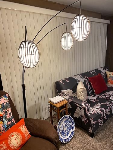 Review Image by Amazon Customer