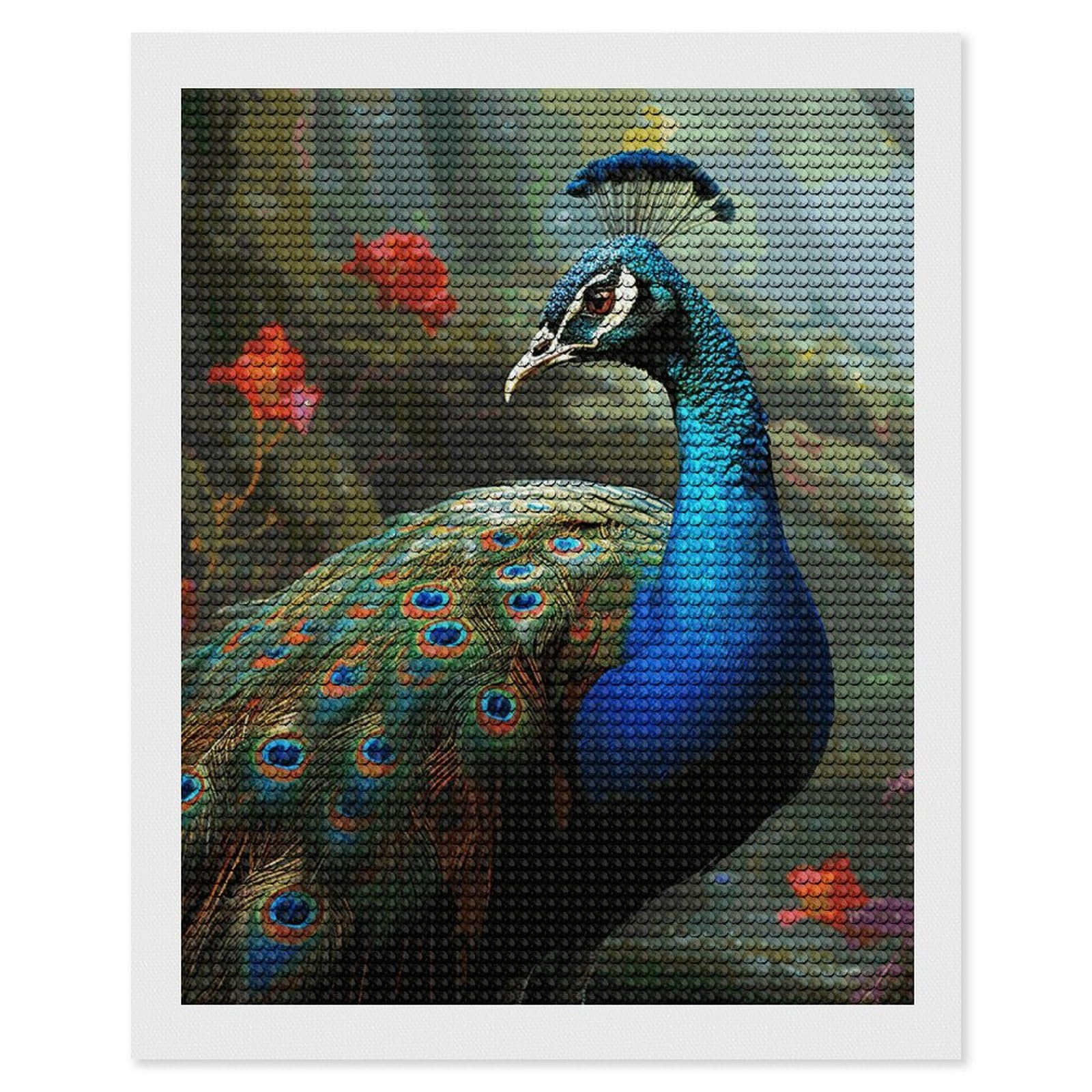 NONHAI Diamond Painting Kits for Adults - DIY Diamond Art Kits for Beginners - Full 5D Paint Drill Diamond Dots Paintings- Colorful Peacock Diamonds Pictures Gem Art and Craft Wall Decor 16"x20"