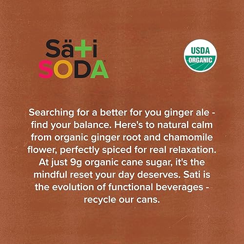 Vista 14 de Sati Soda Berry – Soda energética natural con yerba mate y guayusa – Baja en azúcar (0.32 oz), bebida gaseosa orgánica y limpia con cafeína – Baja