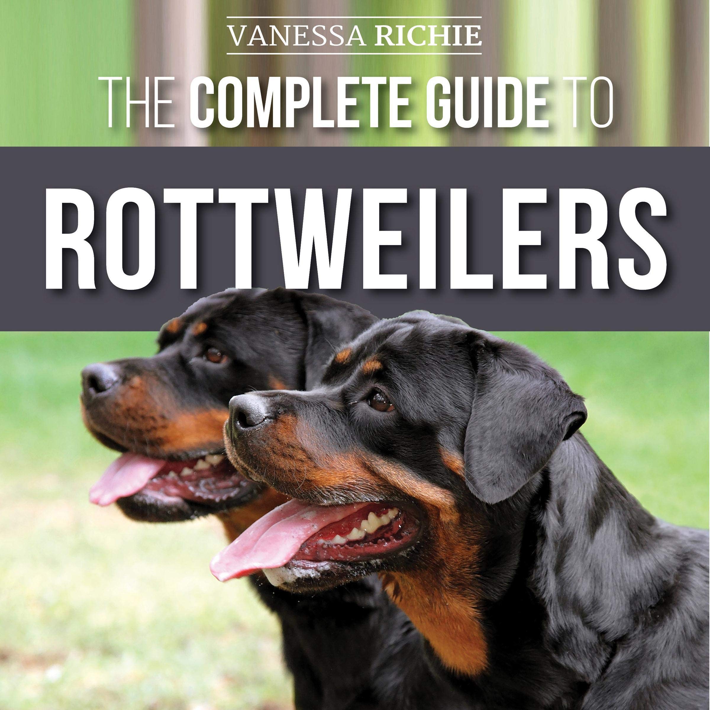 Cover art for The Complete Guide to Rottweilers