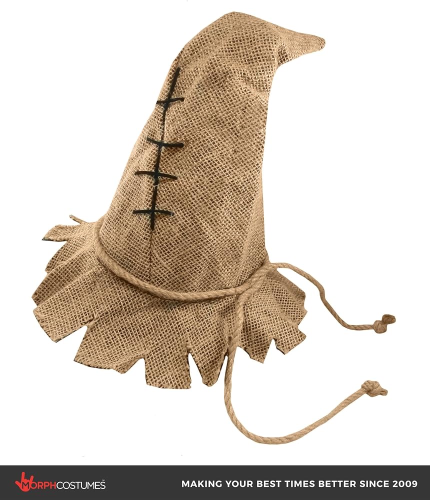 Amazon.com: Nicky Bigs Novelties Scarecrow Hat, Brown Wizard Hat