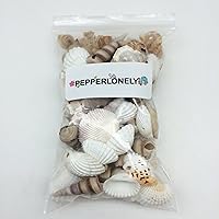Vista 7 de PEPPERLONELY Pequeñas conchas marinas perforadas con mezcla de conchas, 6 oz aprox. 60+ carcasas de PC, 1-1/2 pulgadas