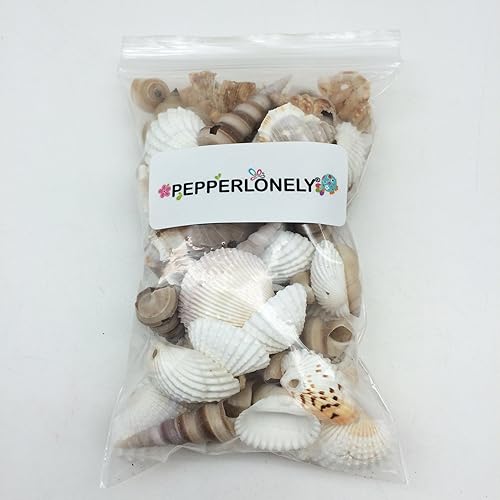 Miniatura 7 de PEPPERLONELY Pequeñas conchas marinas perforadas con mezcla de conchas, 6 oz aprox. 60+ carcasas de PC, 1-12 pulgadas