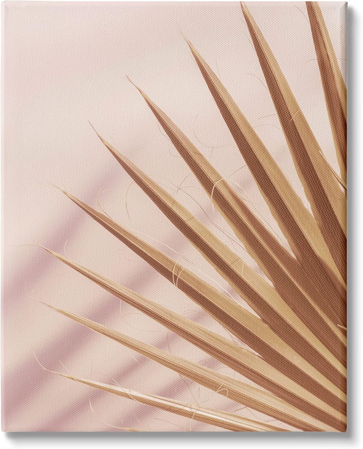 Stupell Industries Palm Frond Photograph Expressive Tropical Plant Sun Bleached, Design by Ian Winstanley Canvas Wall Art, 24 x 30, Pink