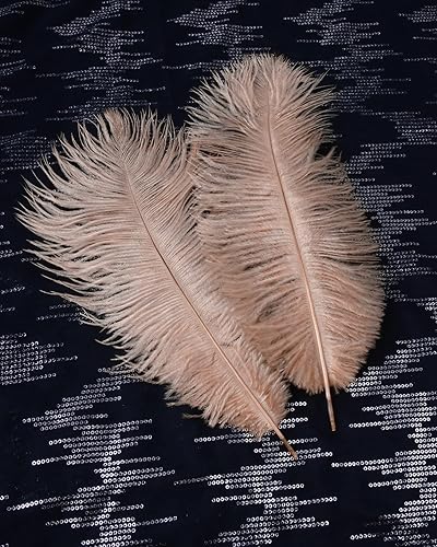 Miniatura 7 de VIJIV Plumas de avestruz grandes naturales a granel de 10 piezas, kit de fabricación de plumas de 28 pulgadas de largo para manualidades, flores,