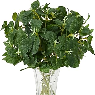 30 Herbalife Tea Recipes with Pomegranate Liftoff for a Refreshing Start 180 12pcs Artificial Mint Plant, Faux Greenery Plastic Houseplant Faux Stems...
