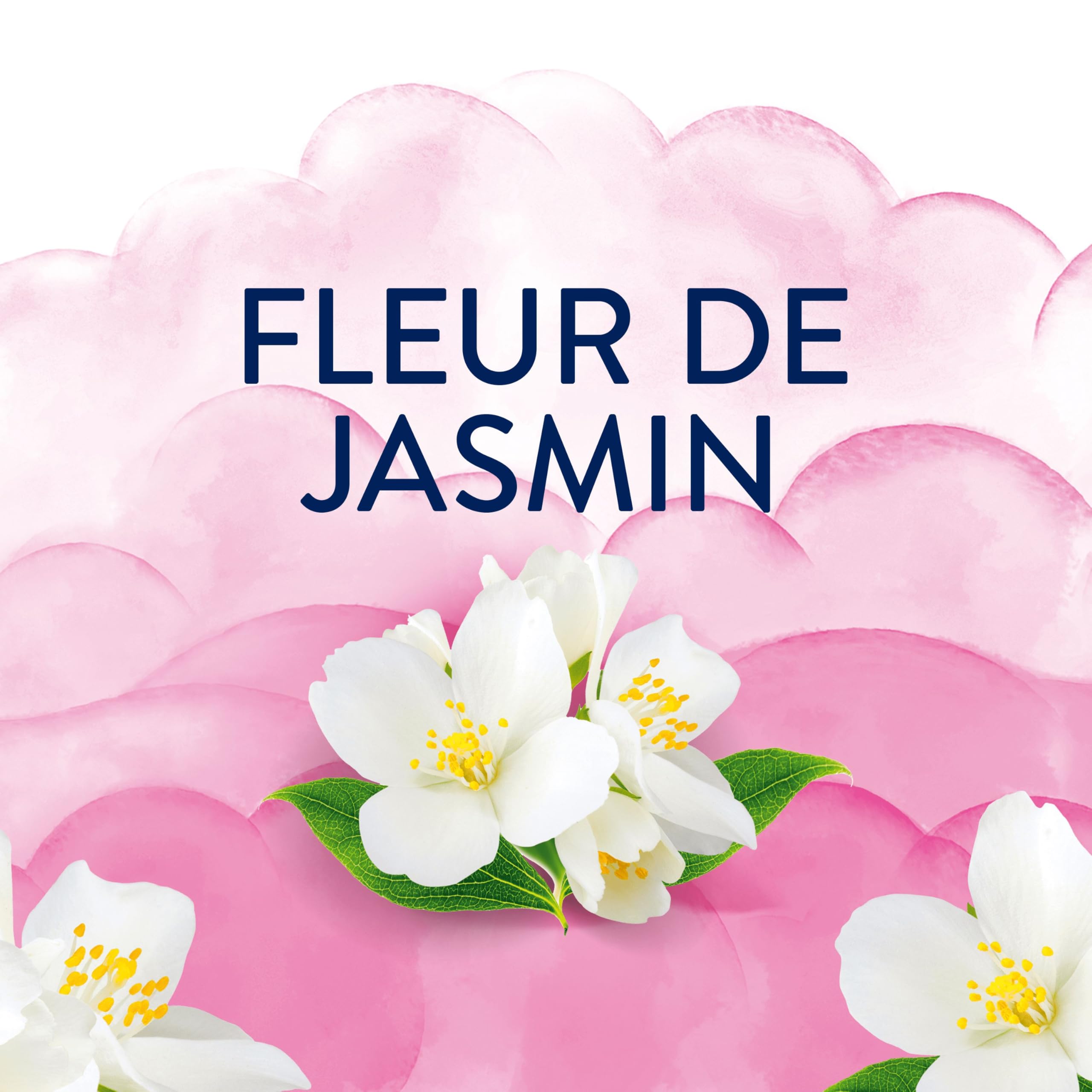 LENOR Light Adoucissant, 504 Lavages (12 x 42 Lavages), Fleur de Jasmin, Pour Une Fraîcheur Légère De Longue Durée