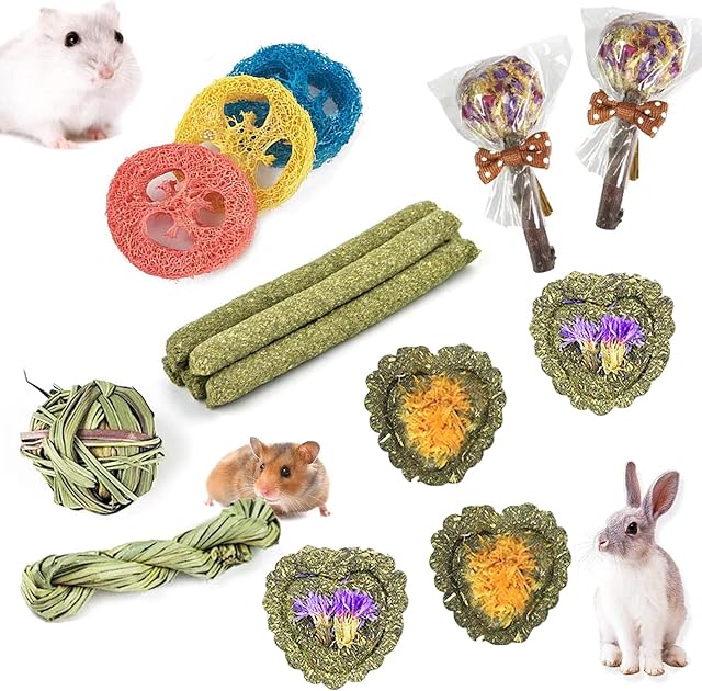 FIPASEN Rabbit Chew Toys for Teeth, 16PCS Natural Timothy Hay Chew Toy, Improve Dental Health for Bunny/ Chinchilla/ Guinea Pig/ Hamsters/ Holland Lop, Small Rodent Pet Molar Teeth Treats Toys