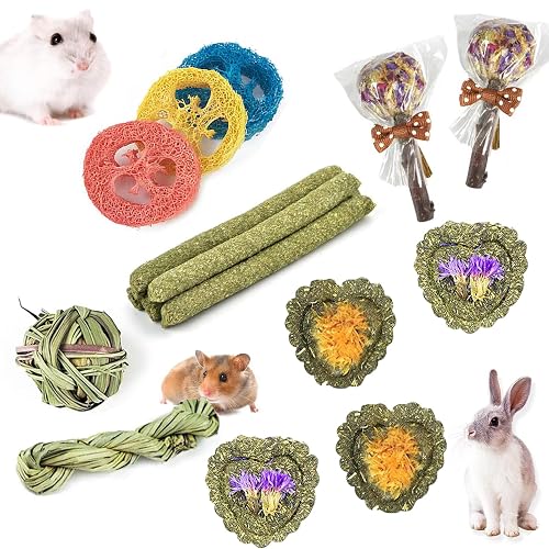 FIPASEN Juguetes para Masticar Conejos, 16 Piezas Natural Timoteo Heno Masticar Juguete