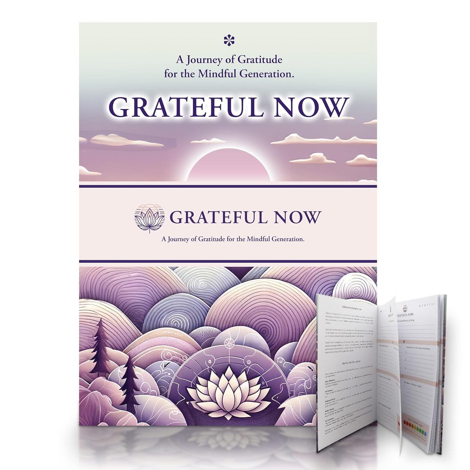 SOL A4 Gratitude Journal - Daily Self-Care Diary for Women & Men - Positivity & Mindfulness Journal for Mental Health & Wellness - Happiness Therapy Journal for Reflection & Growth      Unknown Binding – Day to Day Calendar