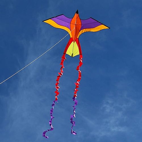 Into The Wind Cometa de loro tropical (violeta)