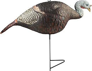 The Grind Hen Decoys | Durable and Lifelike Hen Turkey Decoy | Available in Multiple Postures