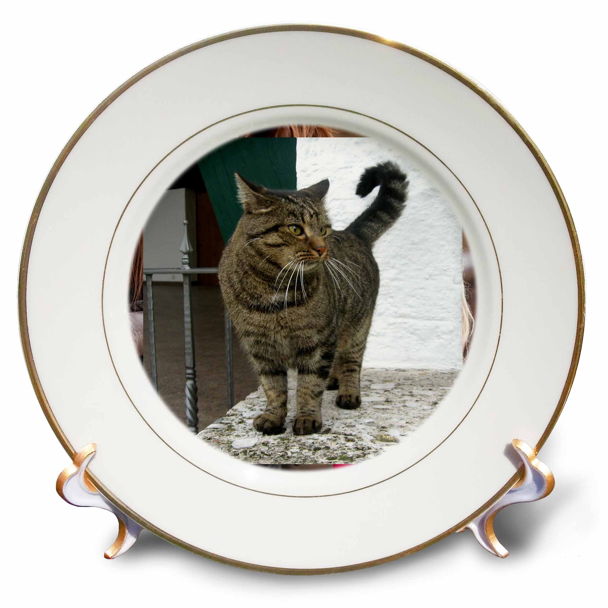 3dRose cp_4464_1 Cat Porcelain Plate, 8