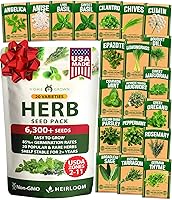 Vista 41 de HOME GROWN Semillas de Culantro sin transgénicos, 360 semillas de hierbas para plantar, variedad sin transgénicos autóctona, sabor robusto, prospera