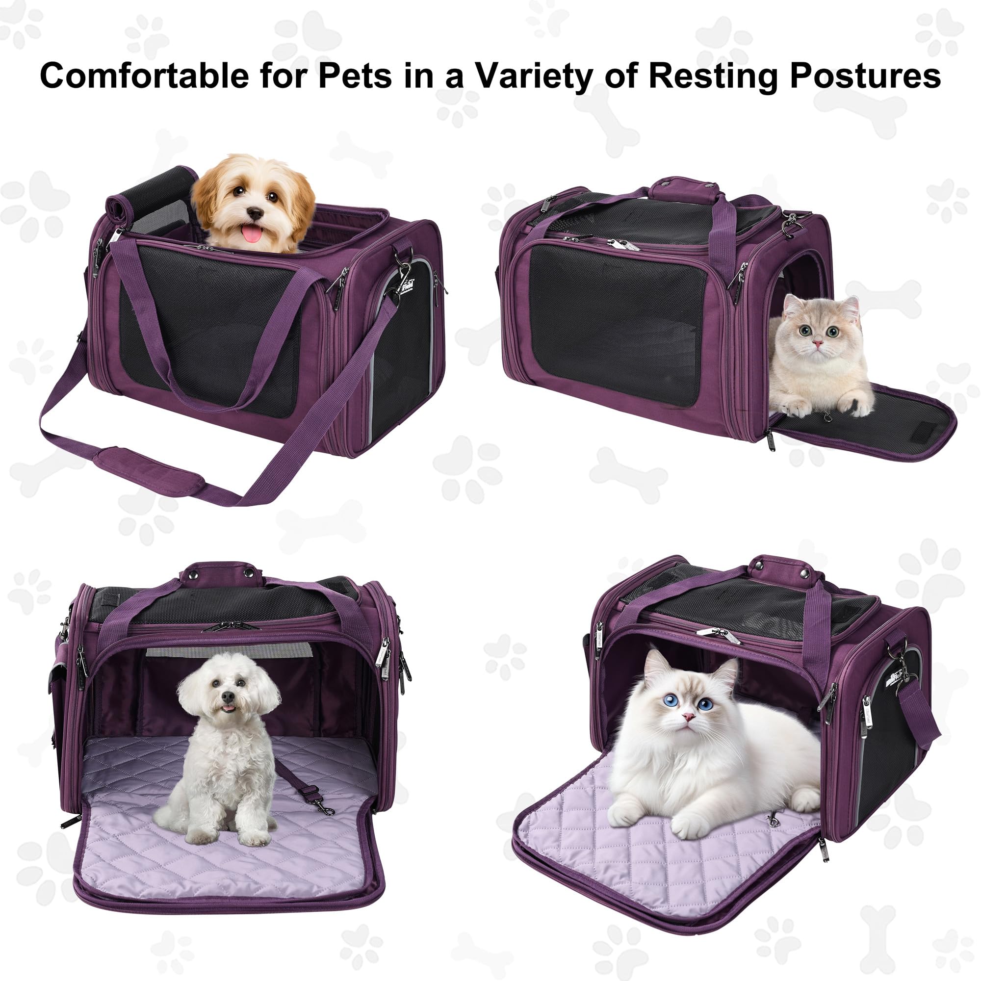 EliteField Deluxe Soft-Sided Pet Carrier (3 Year Warranty, Airline Approved), Travel Bag for Dogs, Cats & Small Pets, with Expandable Mat - image 2