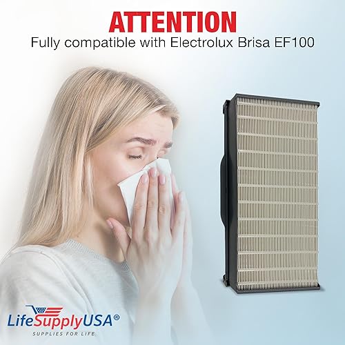 Miniatura 2 de LifeSupplyUSA Repuesto de filtro HEPA verdadero compatible con el purificador de aire Electrolux Brisa EF100