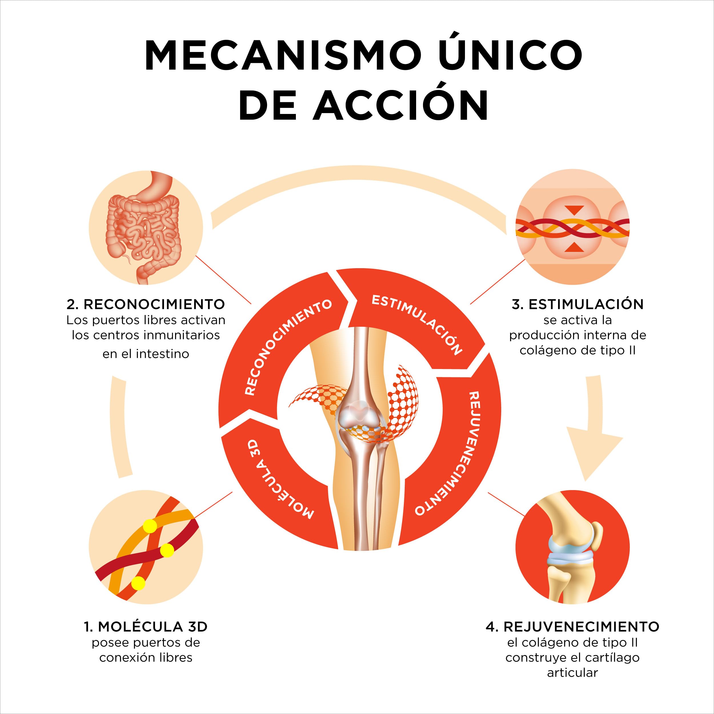 Collanol - una innovación en el cuidado de las articulaciones sanas. Fórmula líquida en cápsula doble. Colágeno 3D + curcumina micelar. 1 cápsula/día. Probado en laboratorio (60 dosis)