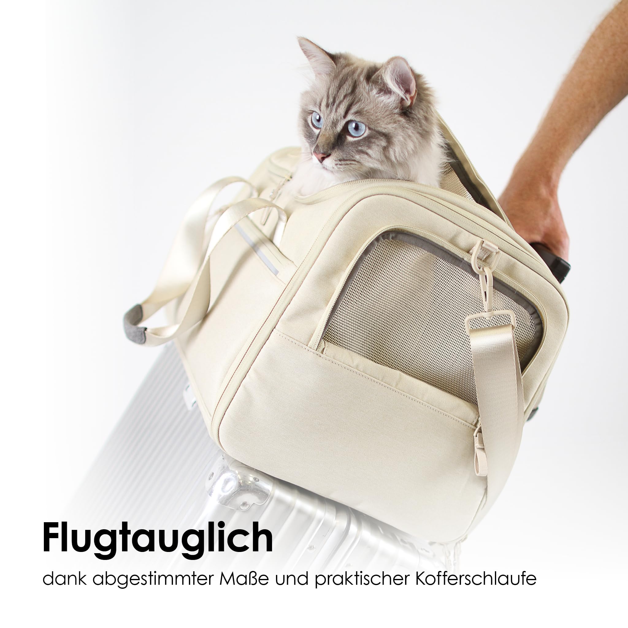 LucyBalu® Check-IN Katzentransporttasche flugtauglich I Tragetasche aus recyceltem Material I Netzfenster & Sicherheitshaken I waschbares Inlay I Sand