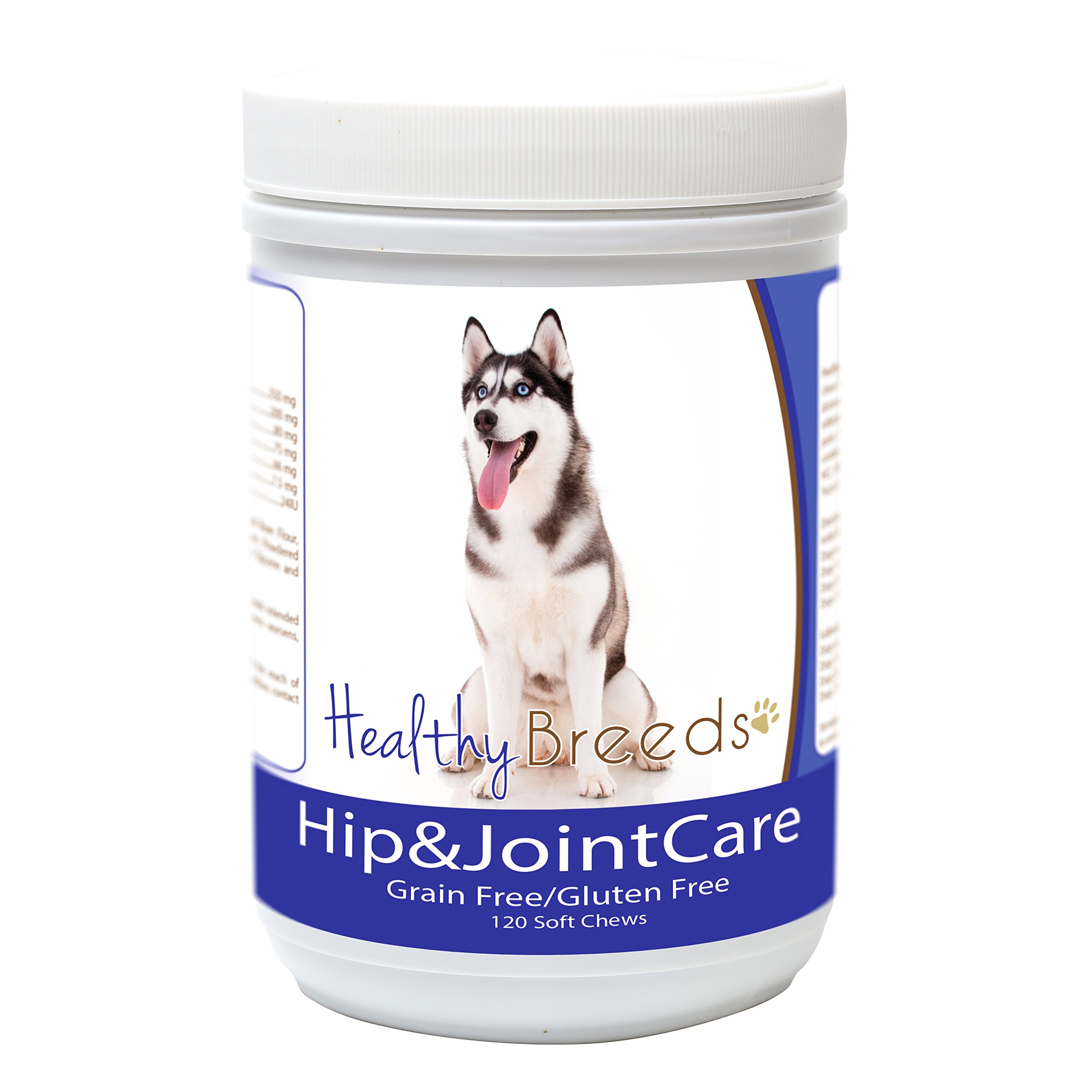 Are Huskies Prone To Hip Dysplasia