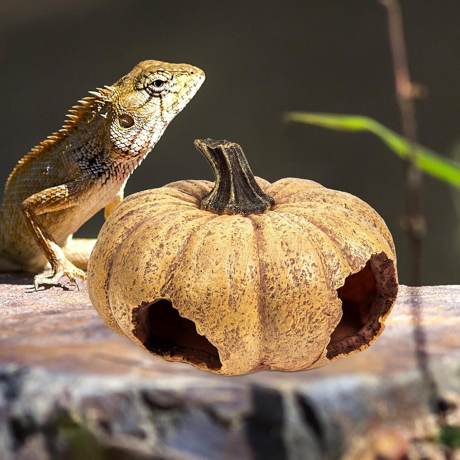 Mobestech Resin Pumpkin Reptile Hideout Terrarium Supply Decorative Pumpkin Decor Sturdy Reptile Cave Hide Shelter for Snake Lizard Habitat Tank Accessories