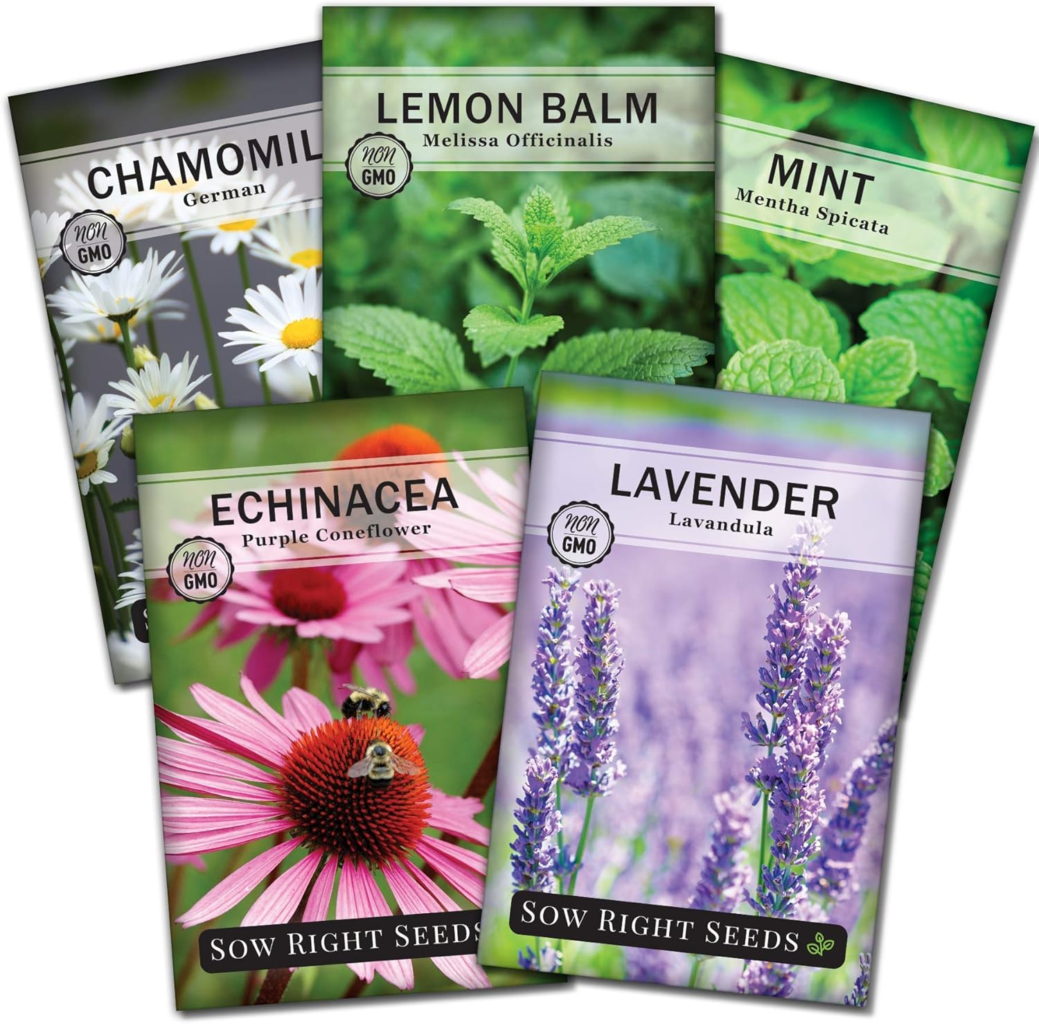 Sow Right Seeds Herbal Tea Garden Seed Collection Lemon Balm, Mint
