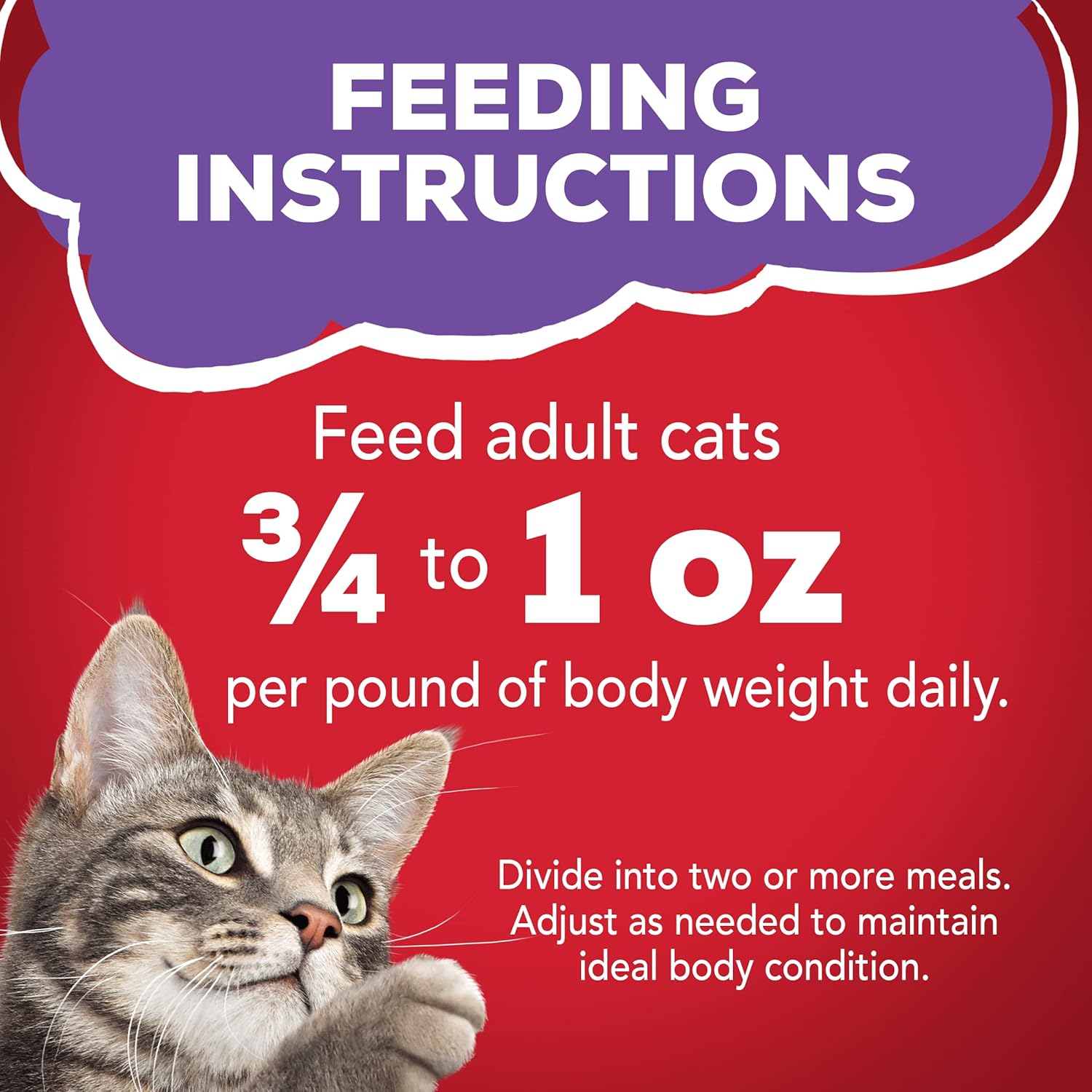 Purina Friskies Meaty Bits Wet Cat Food, with Beef in Gravy, Made with Real Beef, Canned Wet Cat Food for Adult Cats, 5.5-Ounce Recyclable Can (Pack of 12)