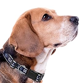 Pets First NFL DOG COLLAR Dallas Cowboys Pet Collar, Medium