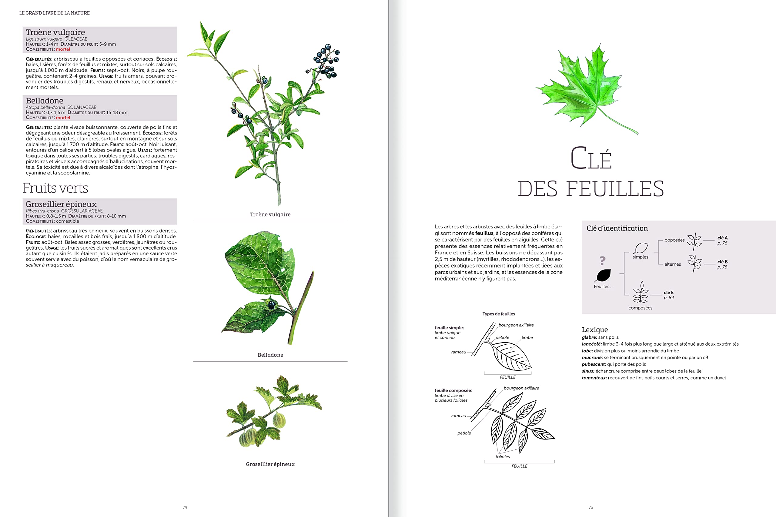Le grand livre de la nature