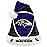 FOCO Baltimore Ravens Colorblock Santa Hat Limited Edition NFL-AFC North Holiday Fan Gear One Size Plush Officially Licensed