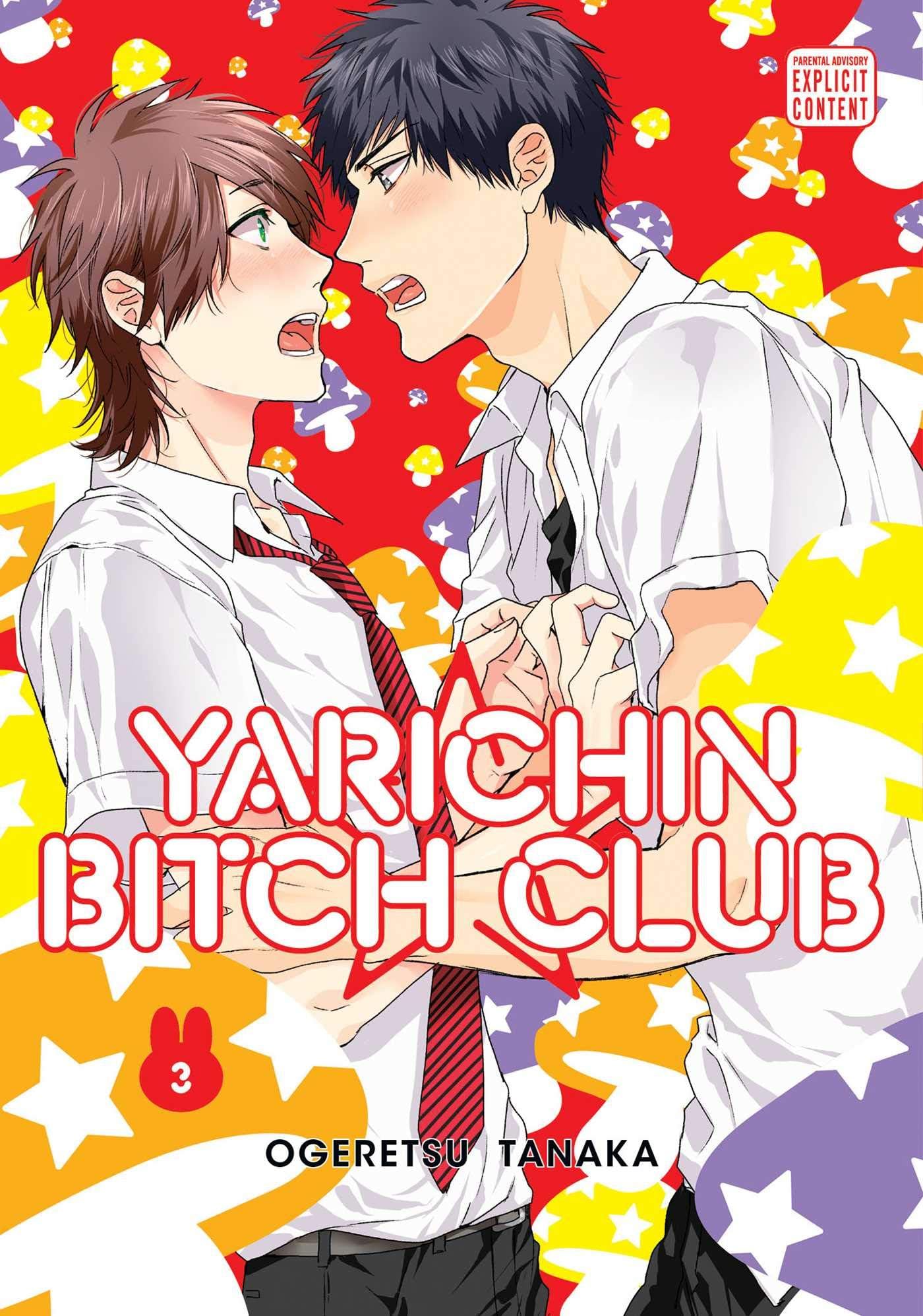 Yarichin Bitch Club, Vol. 3: Volume 3
